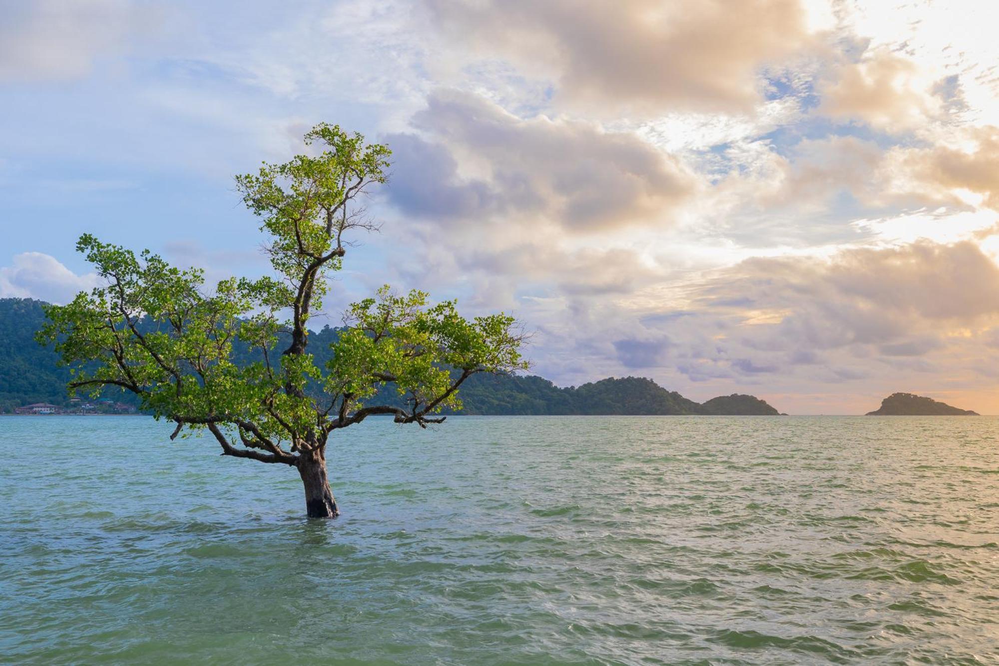 Utalay Koh Chang Villas 外观 照片